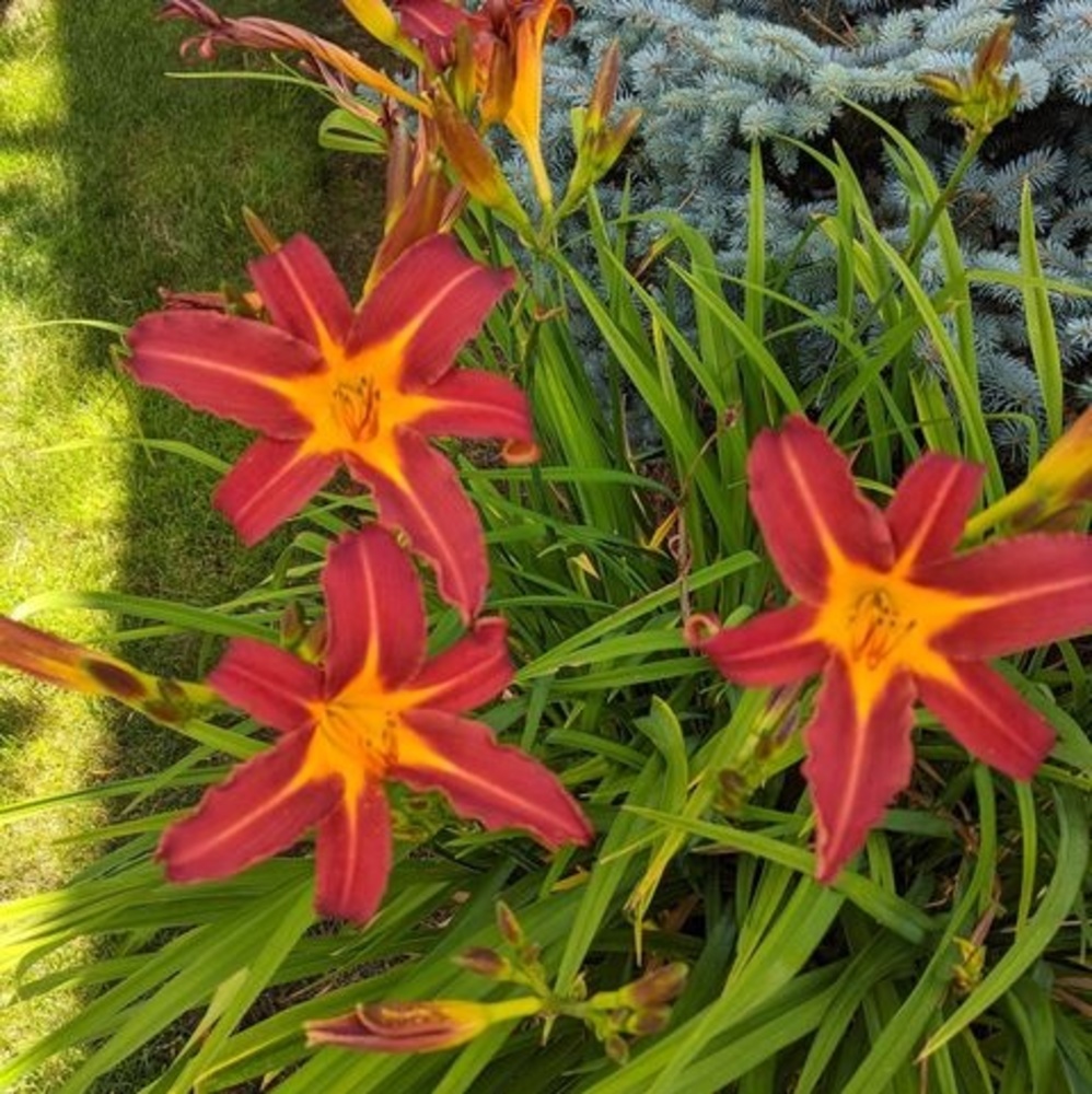 Meet your Posher, Tina